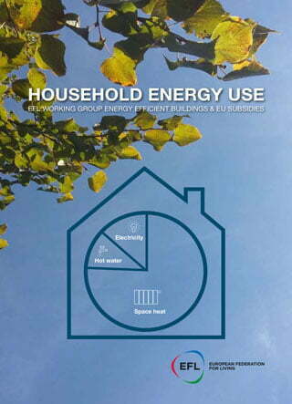 Domestic Energy Use
